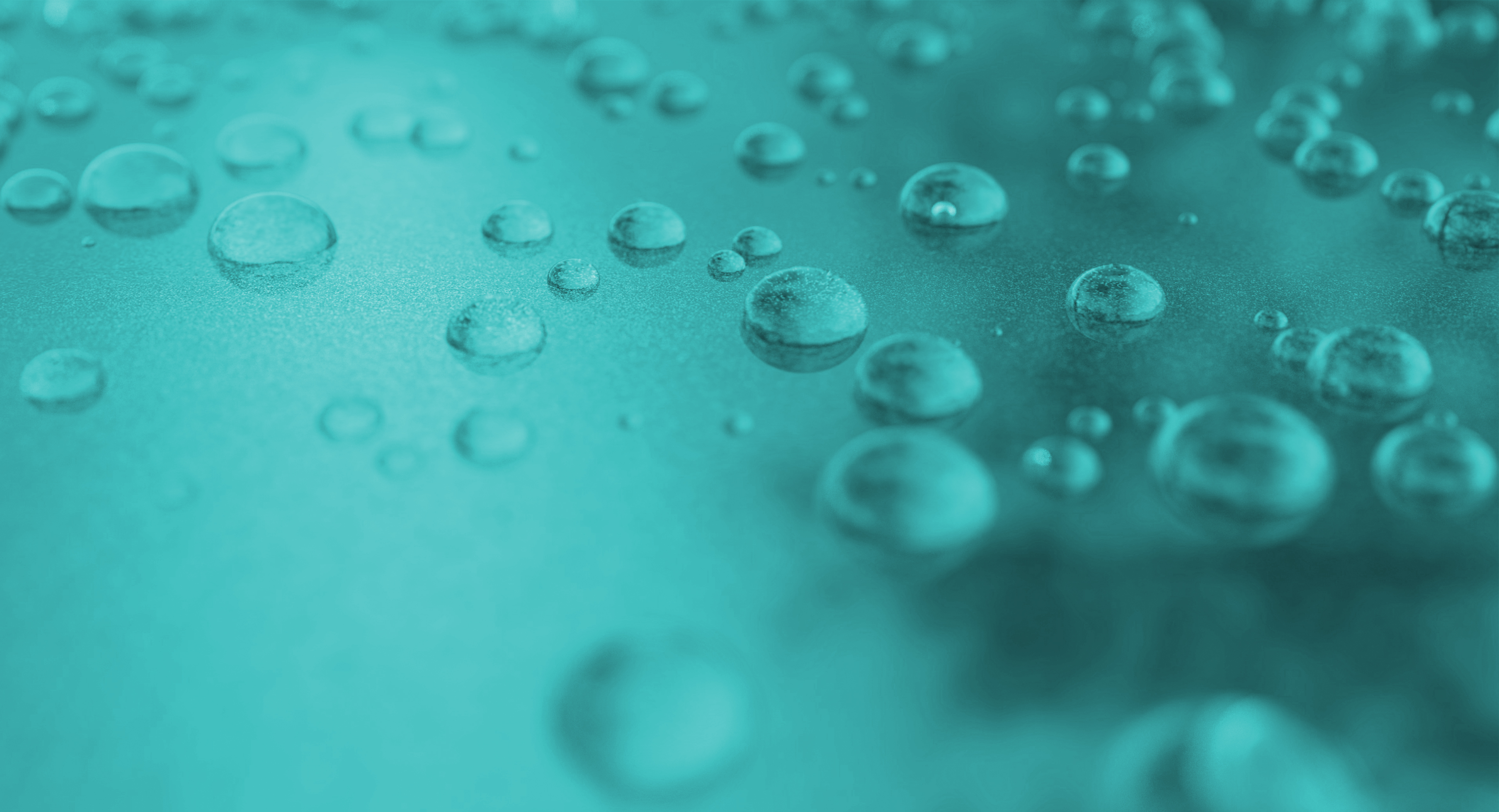 Blank GmbH - Über uns